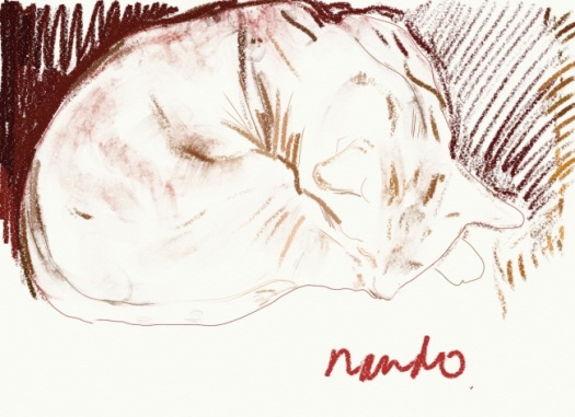 Click image to go to the Nando image on the Thousand Sketches site