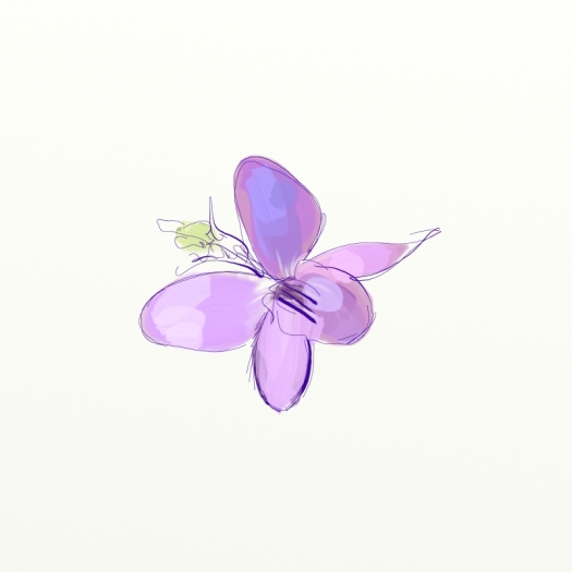 0912_little_violet2_w